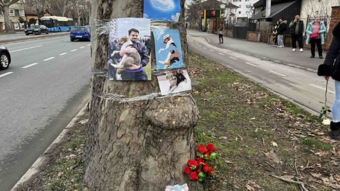 Sećanje na psa Donu